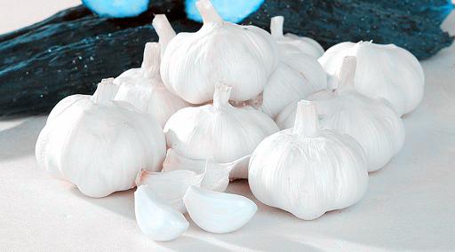 Chinese fresh whitr garlic 2013